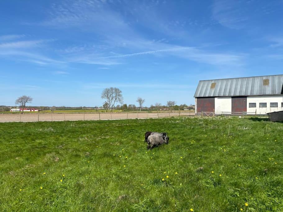Oesterlen Oasis Spjutstorp Extérieur photo